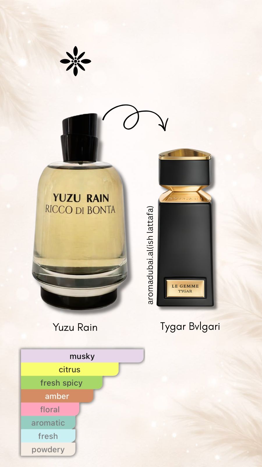 Yuzu Rain Ricco di Bontà