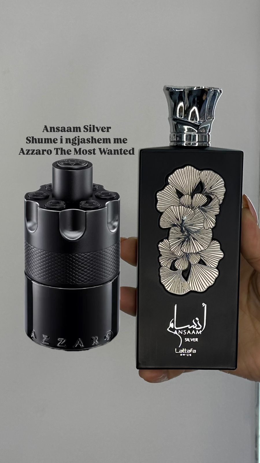 Ansaam Silver