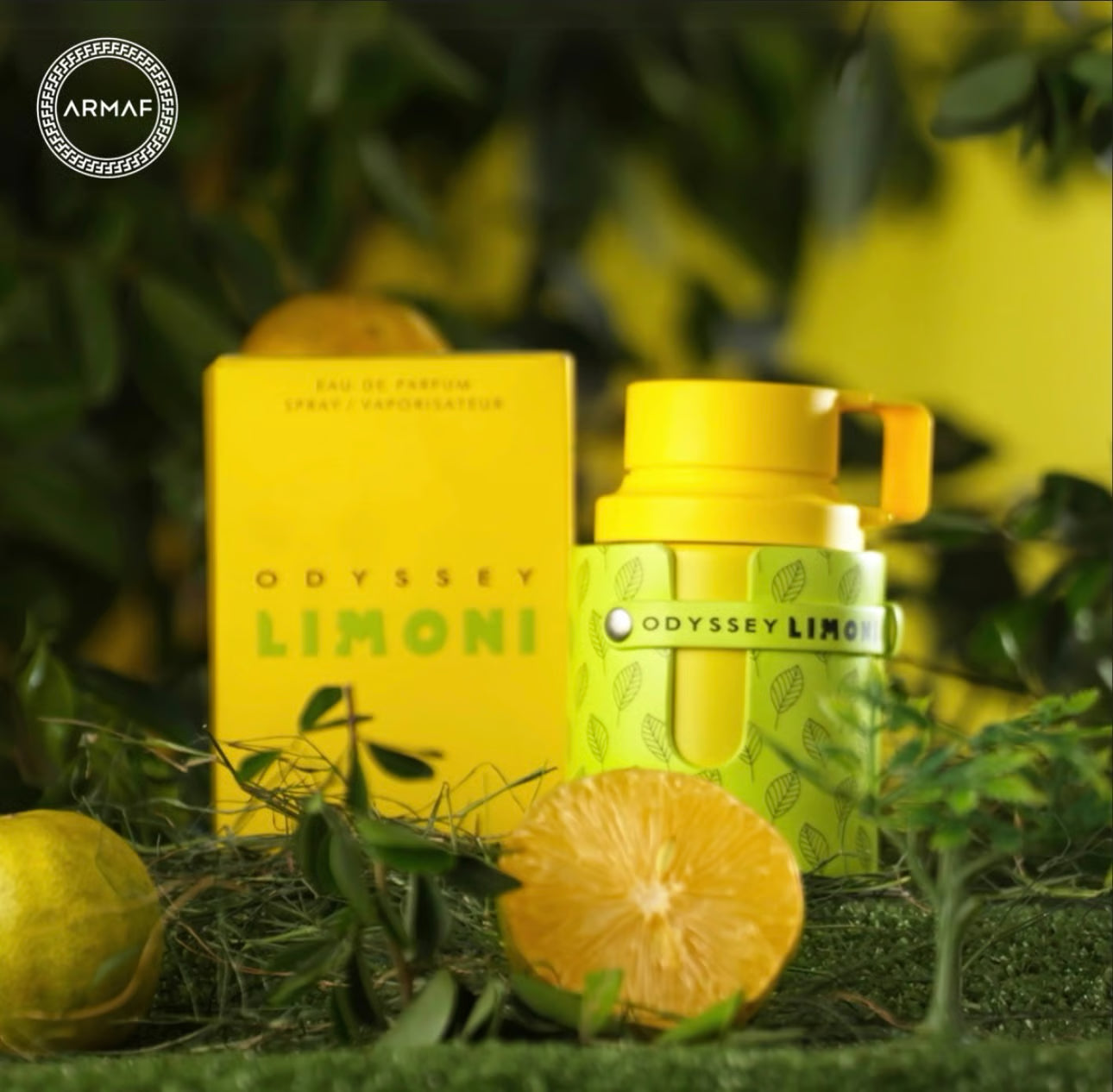 Odyssey Limoni