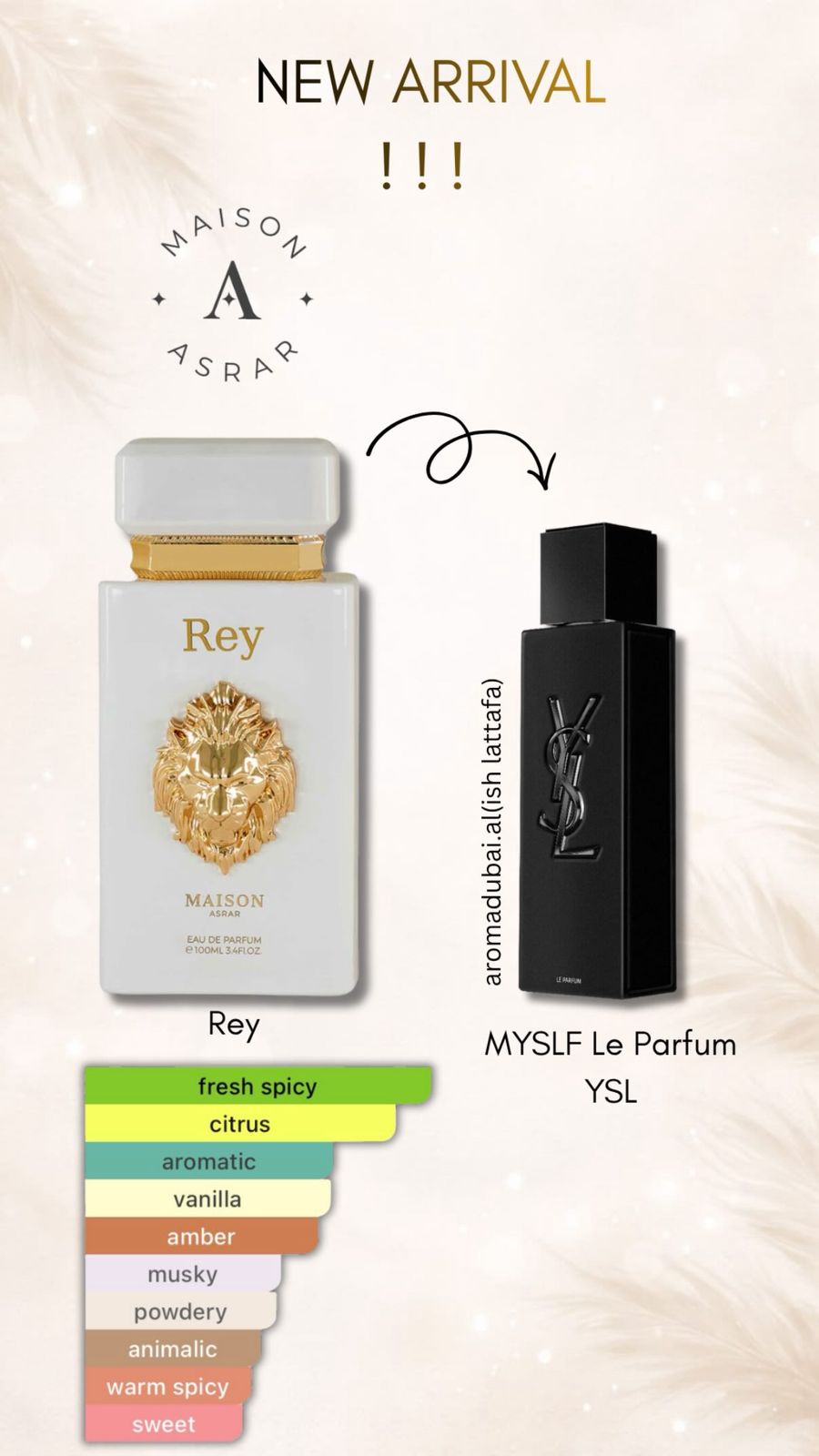 Rey  MAISON ASRAR
