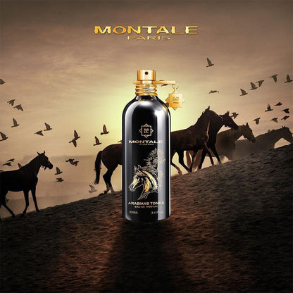 Arabians Tonka by Montal